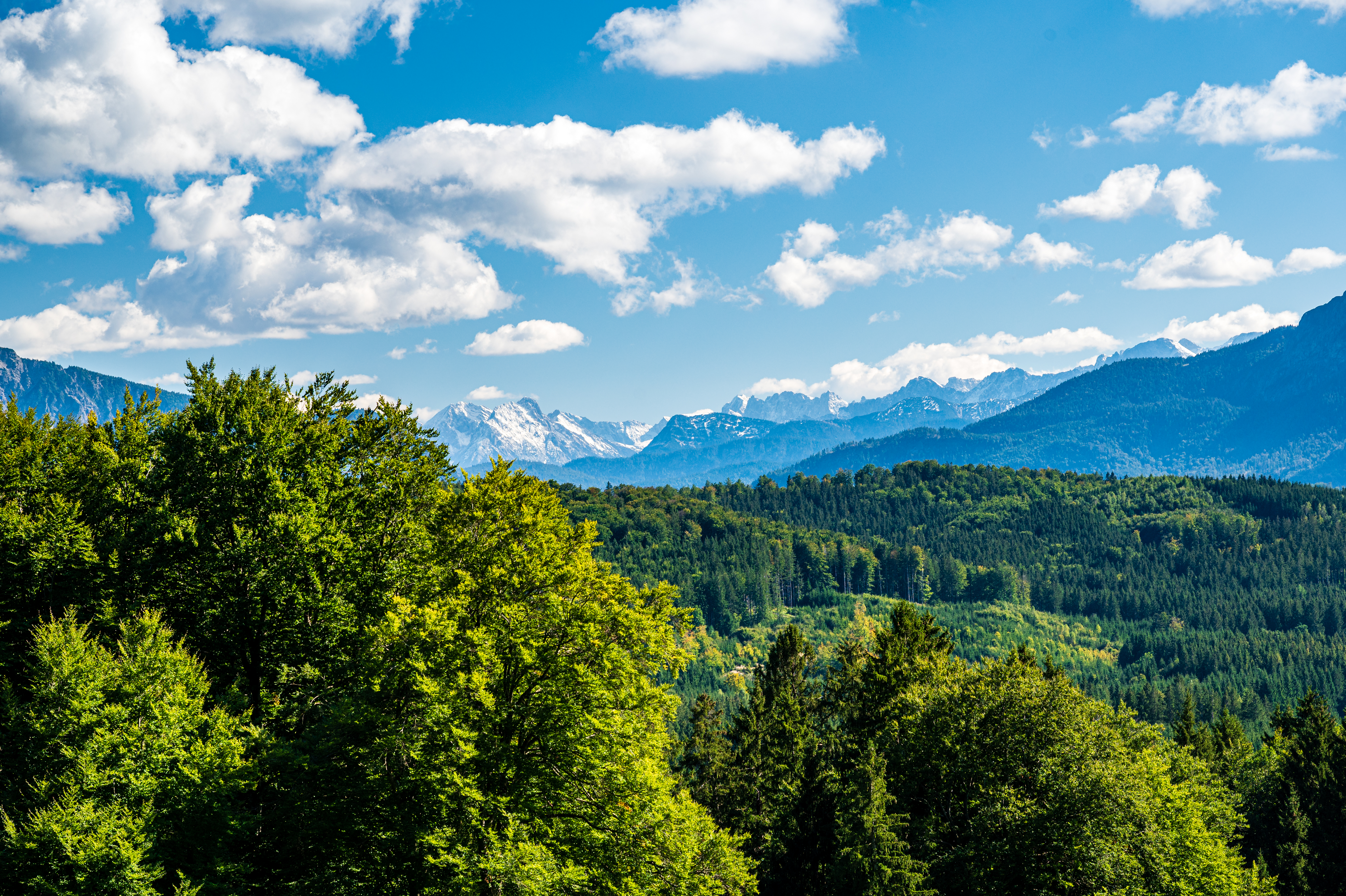 Wanderung Aidlinger Höhe